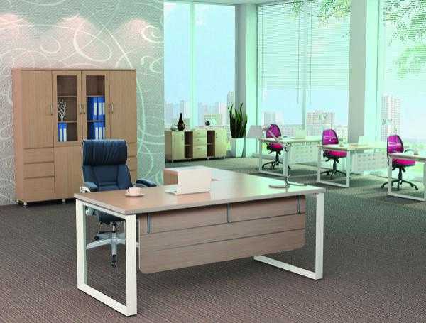 Màu sắc văn phòng hài hòa đẹp mắt