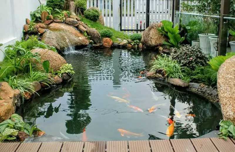 Tiểu cảnh hồ cá koi dạng tĩnh